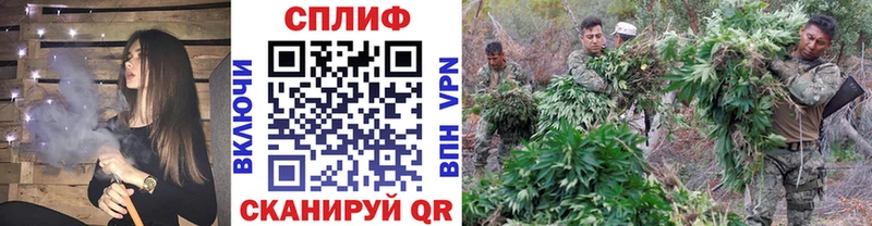 Где купить наркоту Исилькуль ГАШ Cocaine Мефедрон Канабис