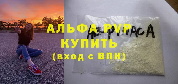 стафф Алексин